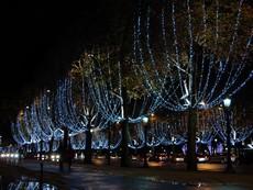 Des illuminations de Noël en bouteilles plastique à Paris - Noël - CityZens