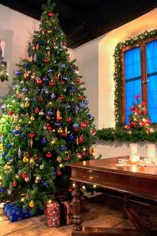 Des sapins de Noël en vente privée le 28 novembre