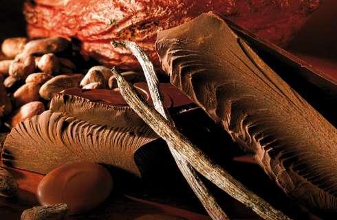 Le premier musée du chocolat à Paris Loisirs / Sorties