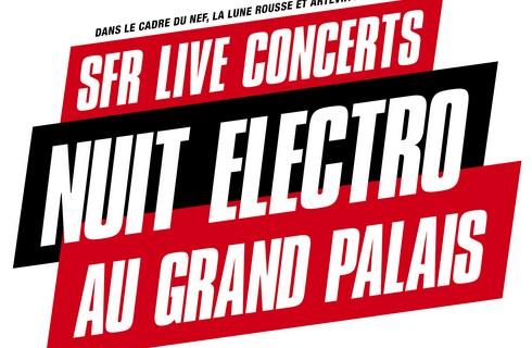 Nuit Electro du Grand Palais le 9 octobre  Spectacle