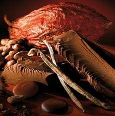 Le premier musée du chocolat à Paris - Loisirs / Sorties - CityZens