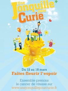Les jonquilles fleurissent sur la place du Palais Royal - Loisirs / Sorties - CityZens