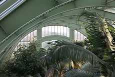Les serres du Jardin des Plantes rouvrent mercredi au public