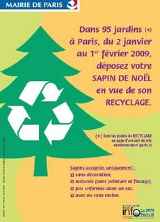 Valoriser son sapin après les fêtes